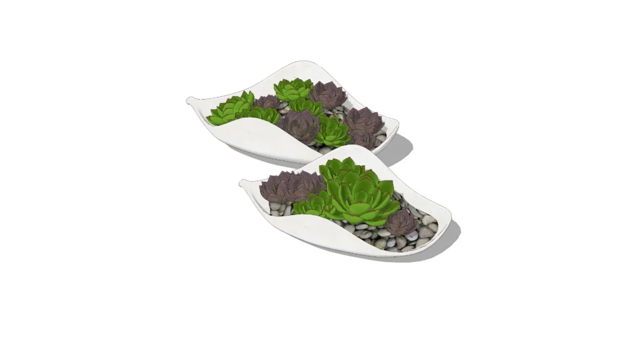 Indoor Plant（09）