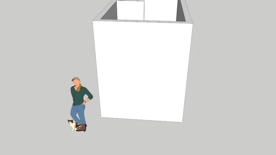 Pocket Door