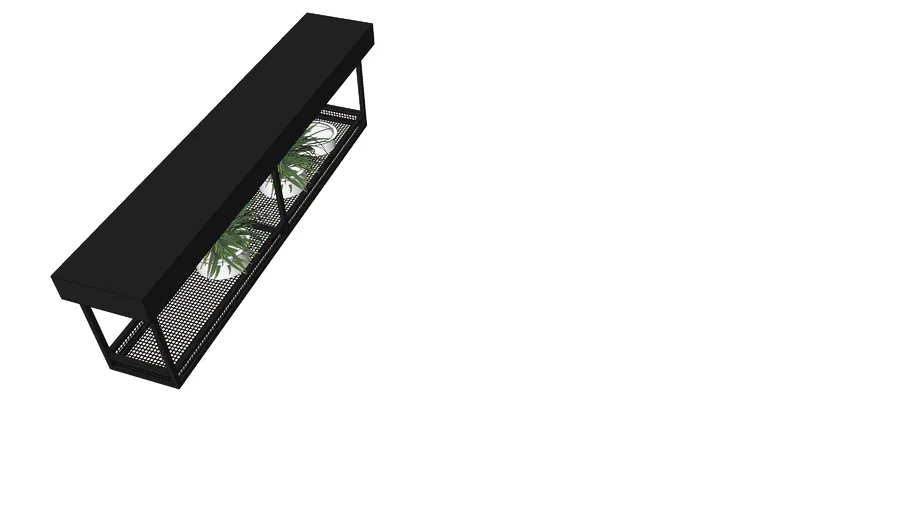 hanging plant