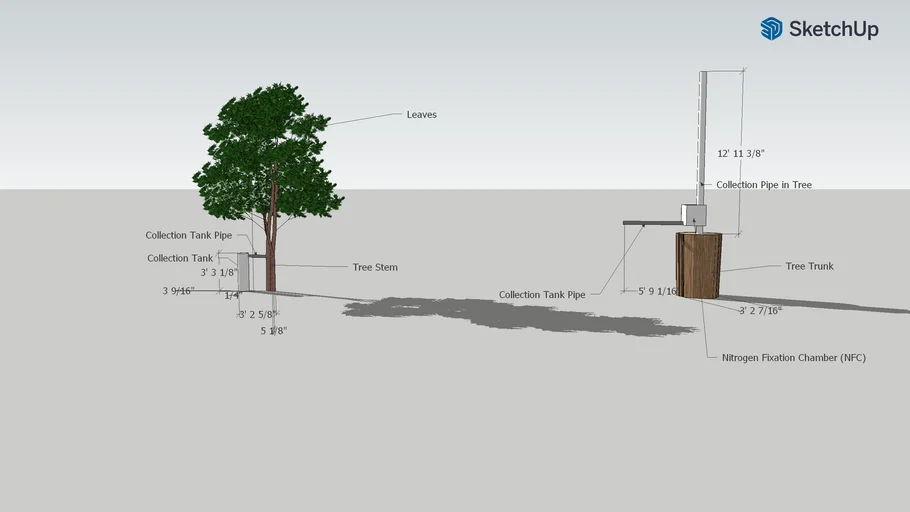 SAP Tree Outside/Inside View