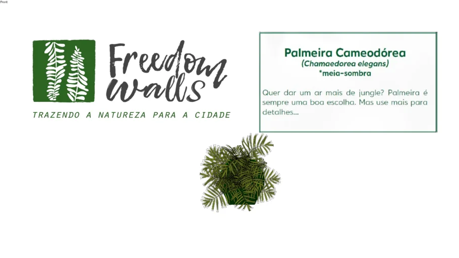 PALMEIRA CAMEODÓREA - FREEDOM WALLS