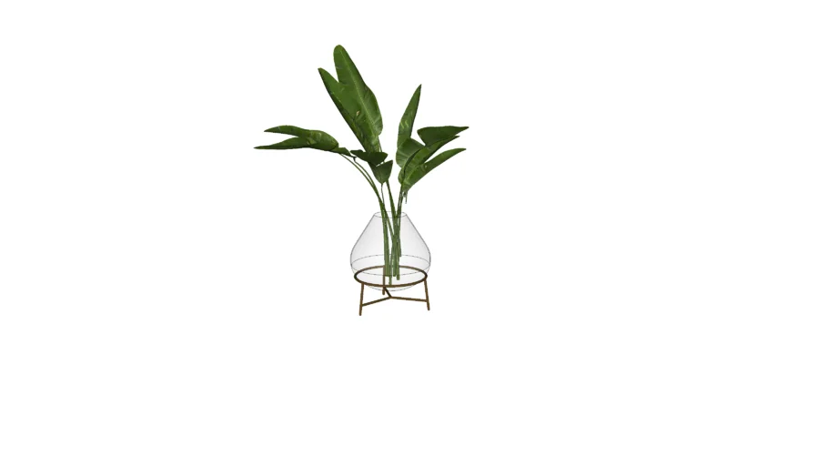 Vaso de vidro com planta