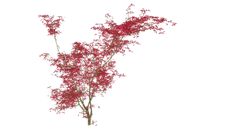 arbre 3D / tree 3D / arbuste