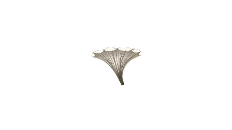 Fan Wall Light by Aqua Creations
