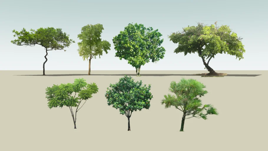 tree