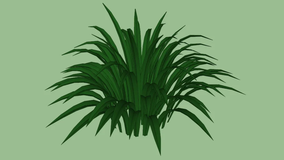 Planta de jardim 