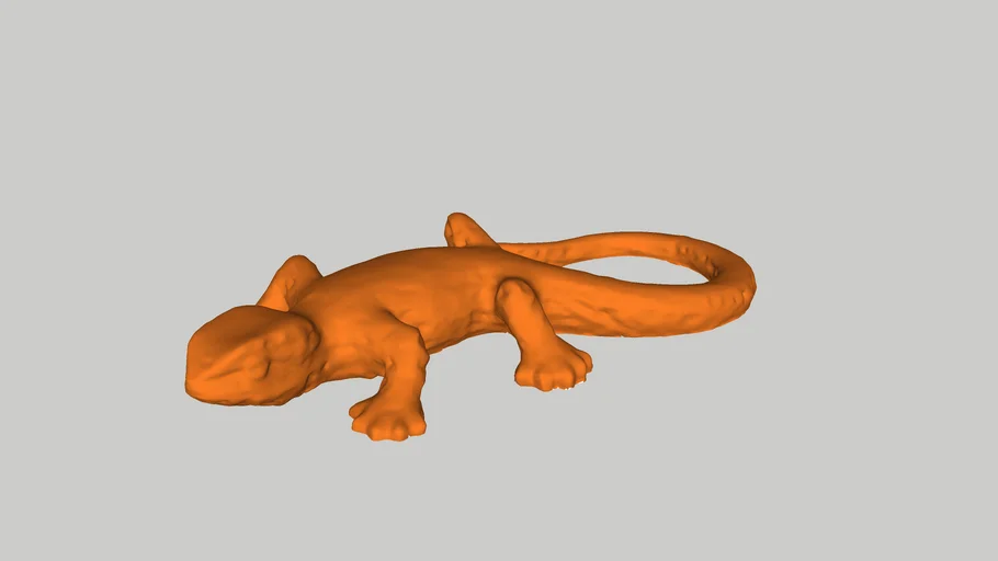 LIZARD