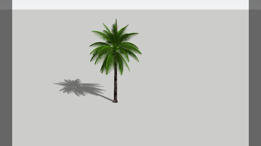 Pohon Kelapa