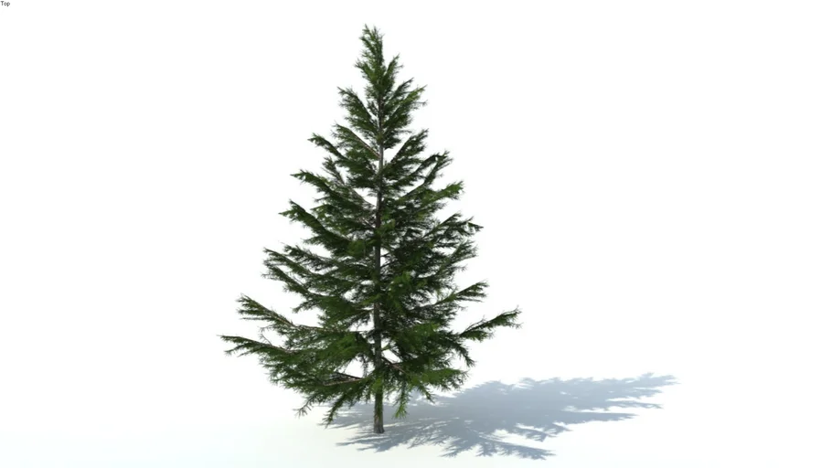 Low poly 3d tree (007) | 3D Warehouse