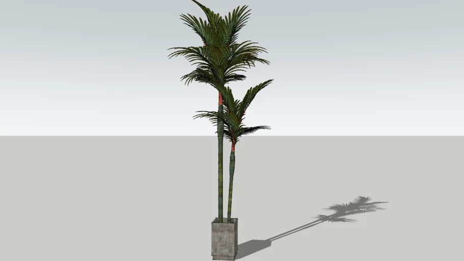 Plant