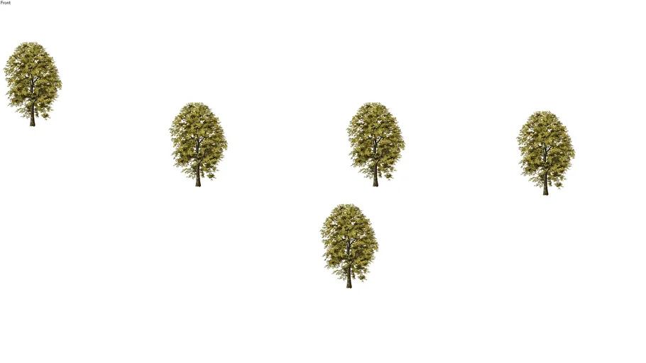 fall | 3D Warehouse