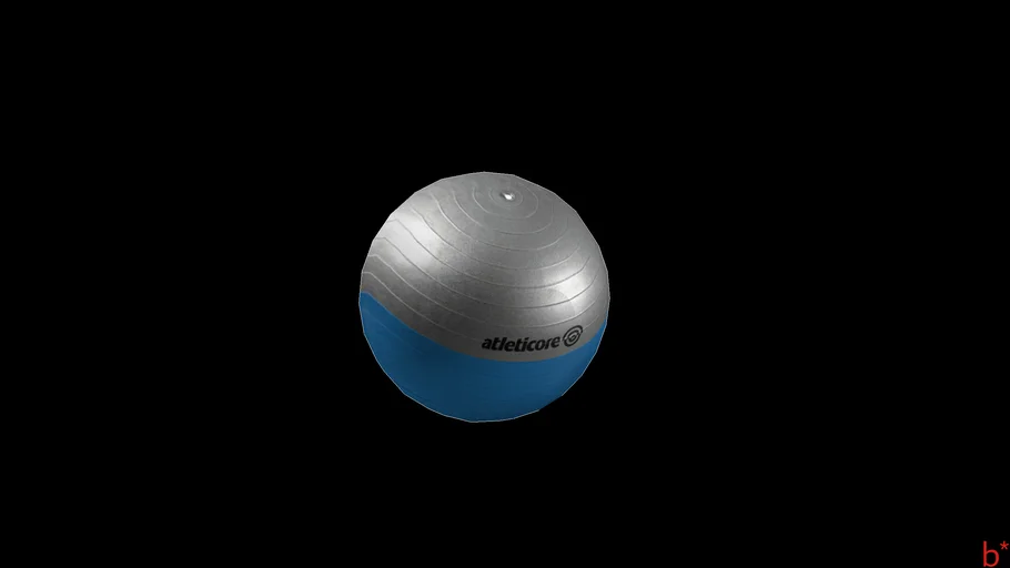 Exercise Ball