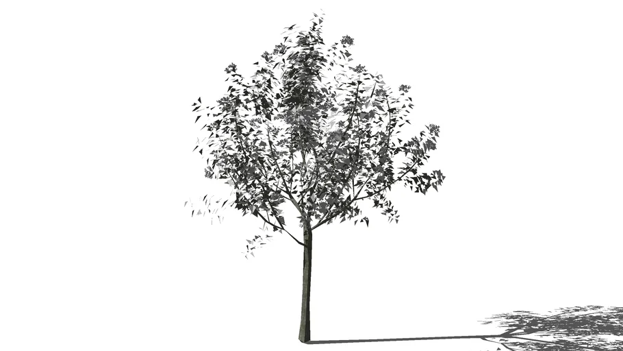 3d trees