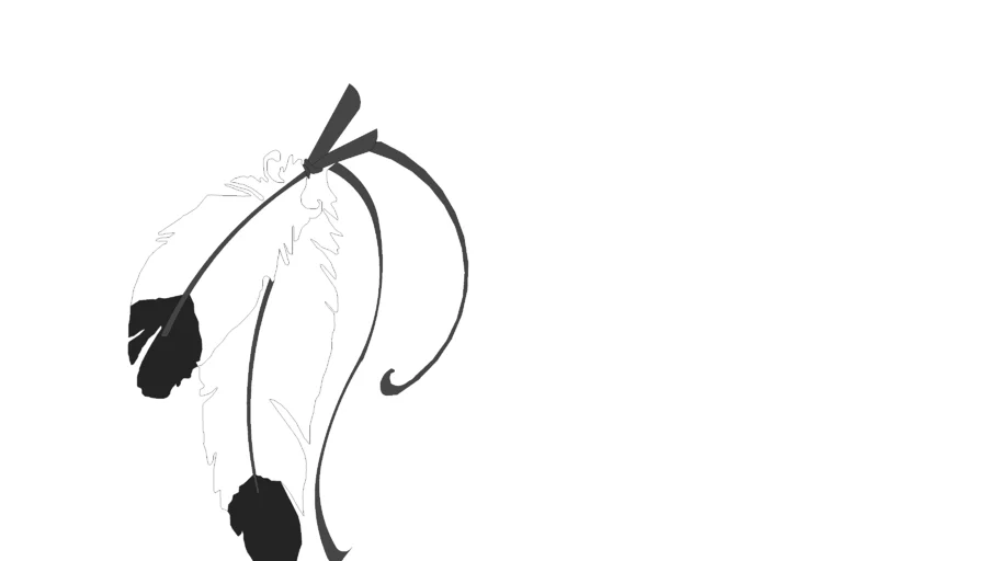 Feathers