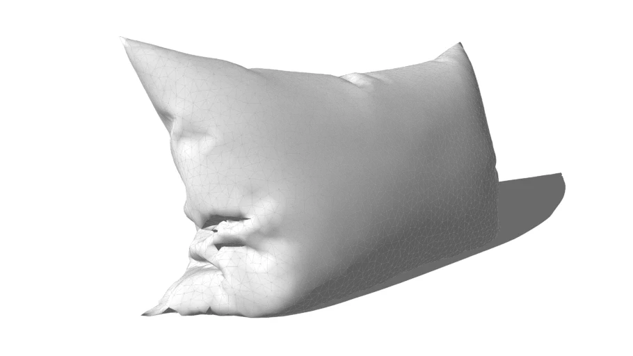 Real Pillow (2014)