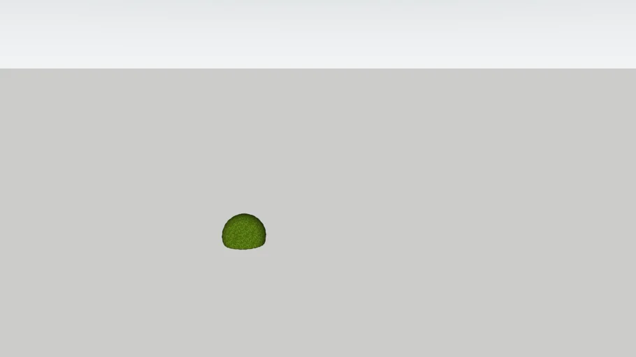 buxus bol