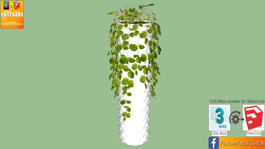 Planting Vase