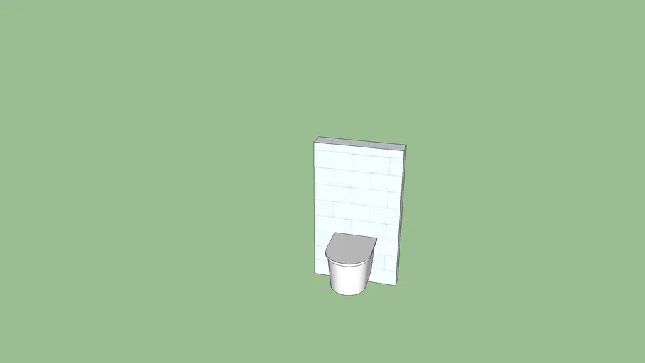 Wall mounted toilet