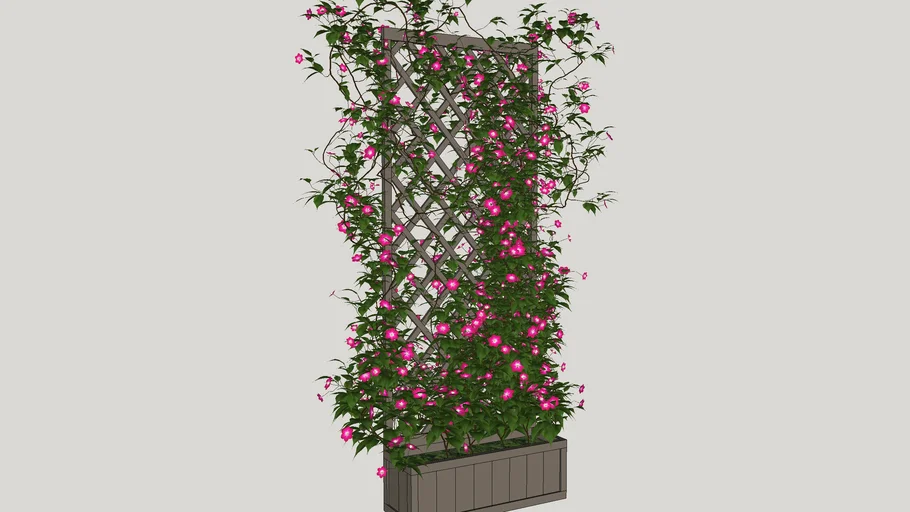 Plants 3D