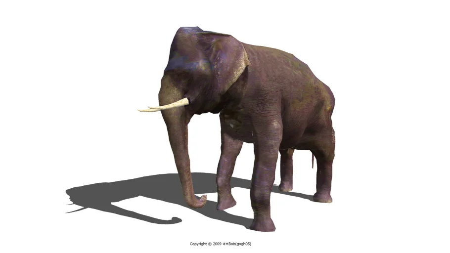 3D elephant
