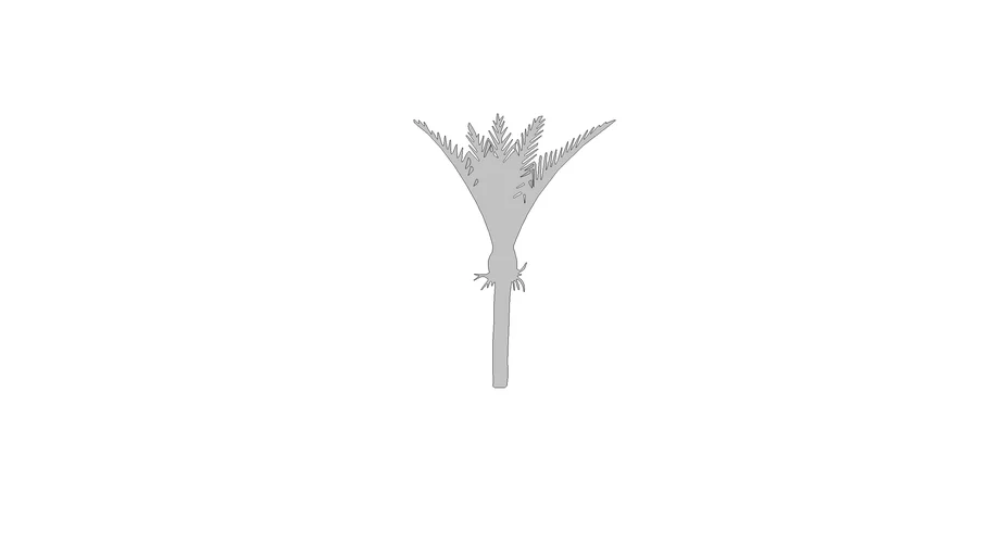 2D Nikau Palm Tree (Face me)