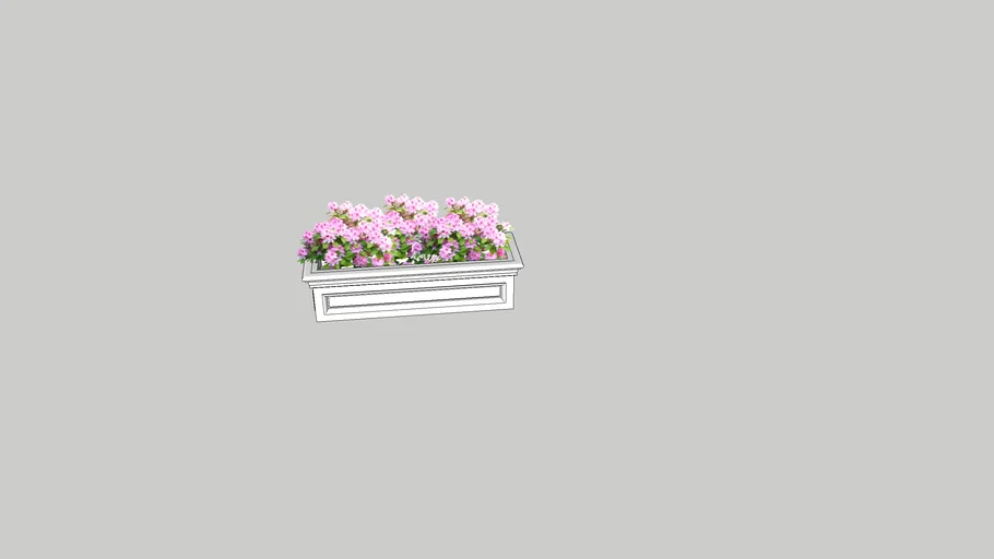 Window Planter Box
