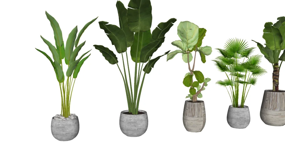 3D Plant / vray plant / potted plant / pots