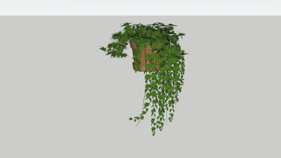 plant - hanging leaves a