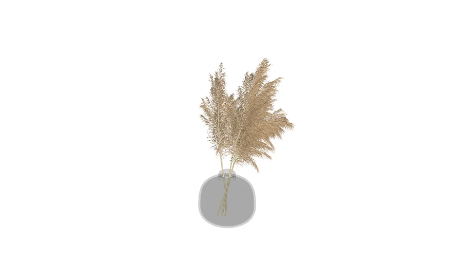 PAMPAS3