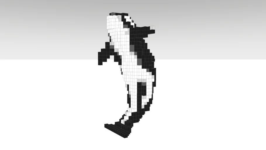 Digital Orca - Vancouver BC