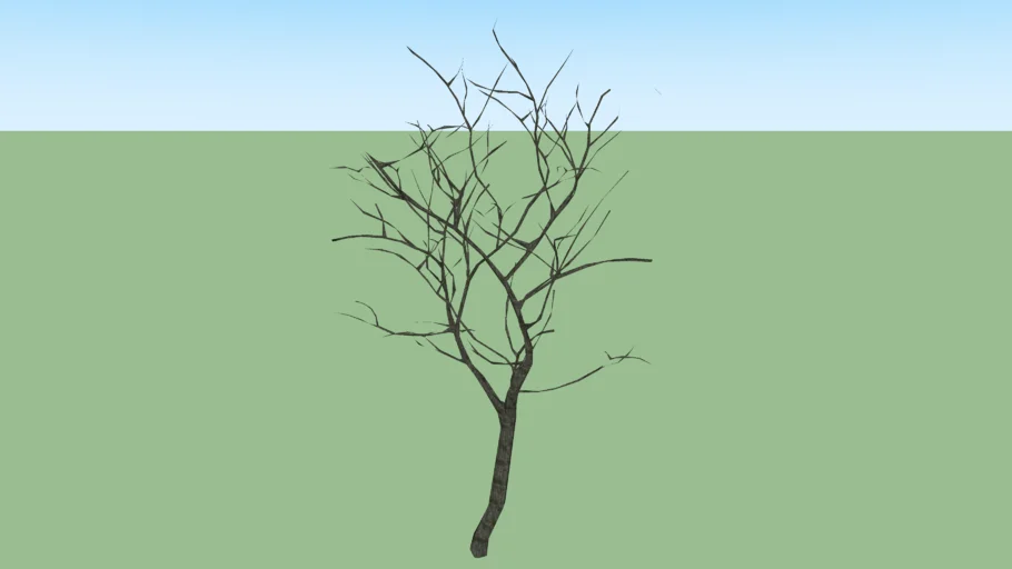 Arbol