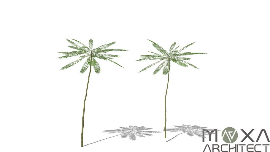 Parahiba