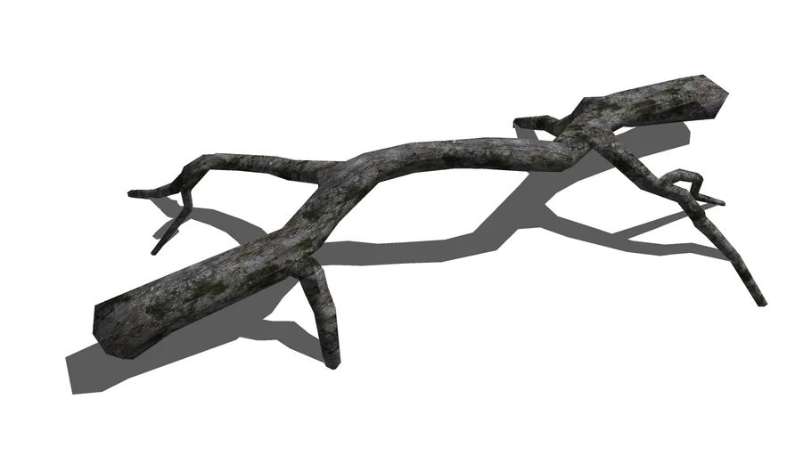 Roots