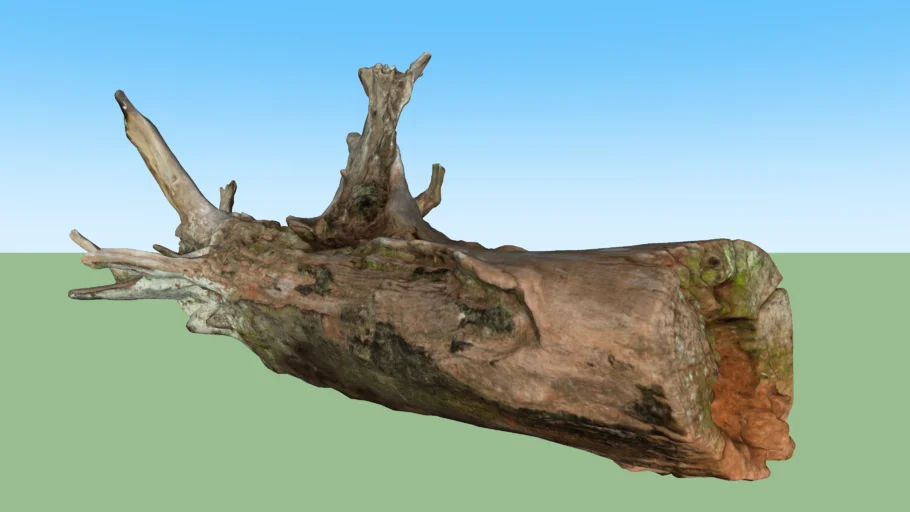Wood Log