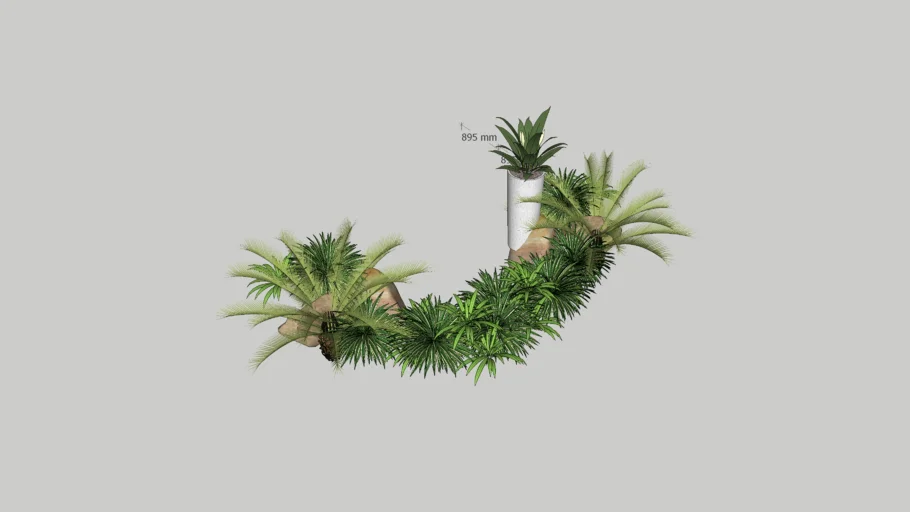 Outdoor bushy plants