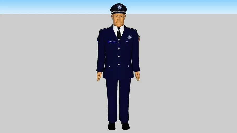SEÑOR DE DIRECTOR DE LA POLICIA DE TRANSITO 