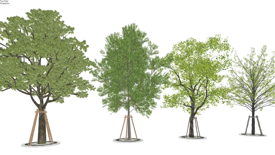 Tree (Via he)
