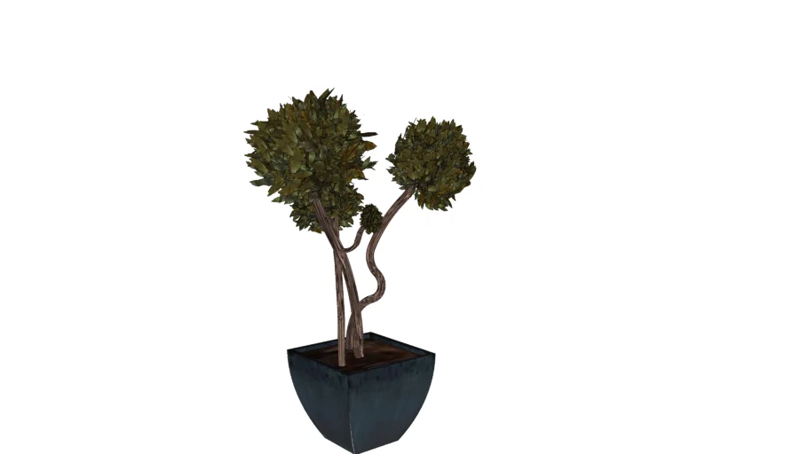 arbre 3D tree 3D