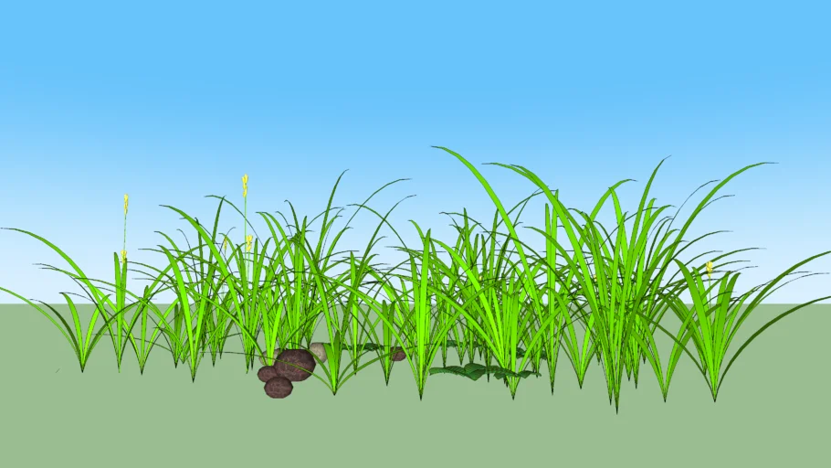 Rumput