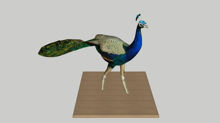 孔雀   peacock   雕像 statue