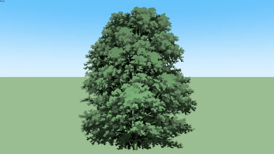tree04-c