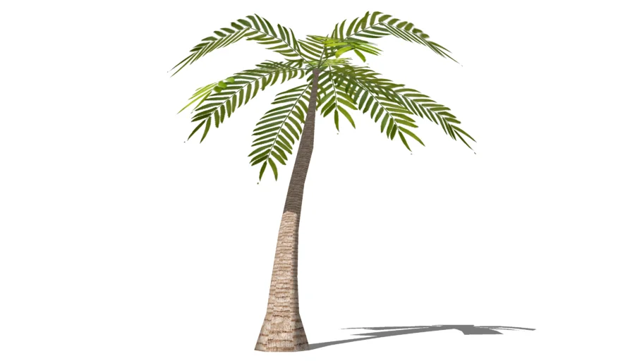 Low-Poly Palm Tree