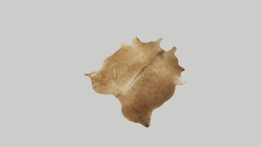 West Elm Cowhide Rug