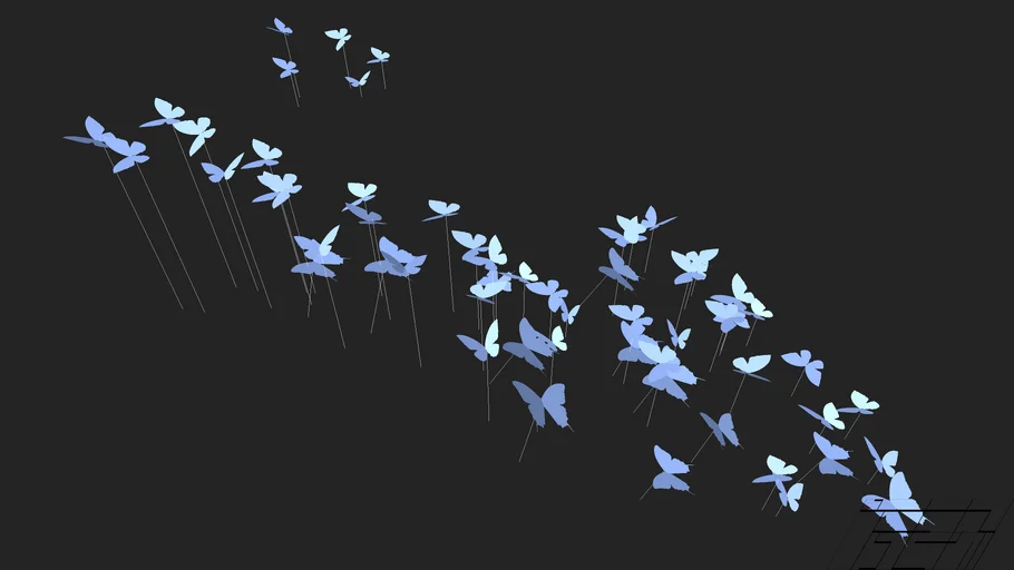 butterfly