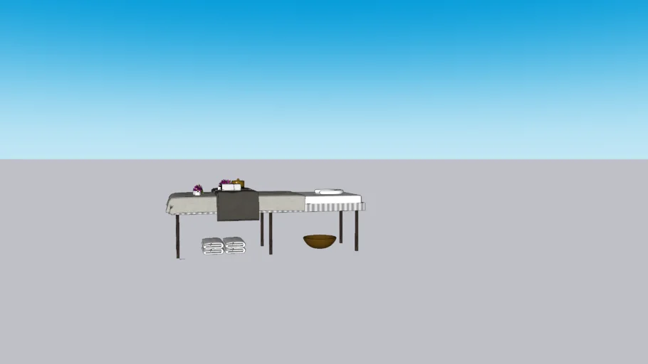 SPA Massage Table