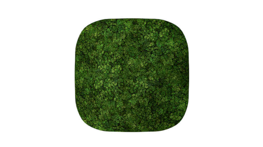 Convex Squricle Large
