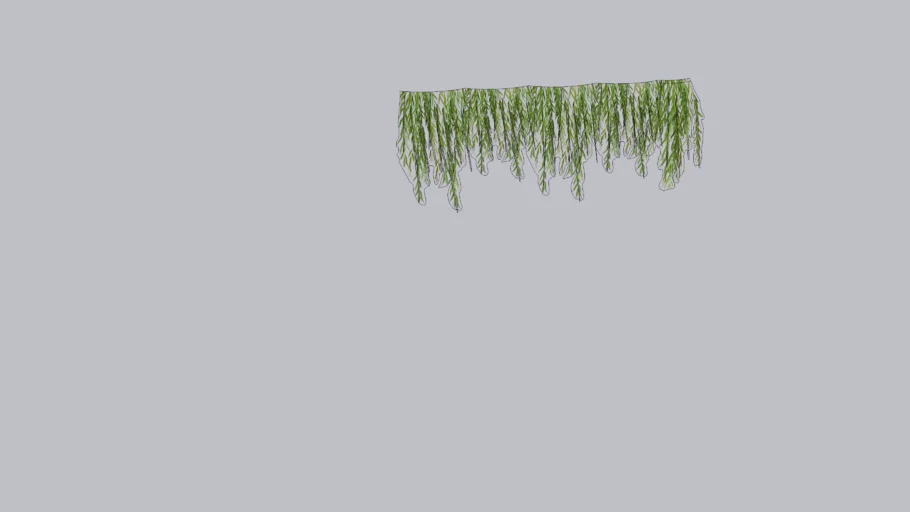 vines