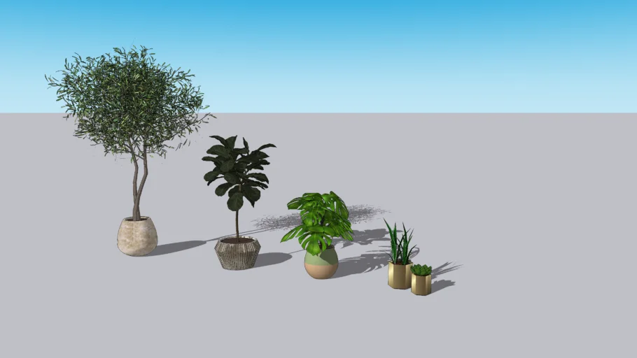 Plants