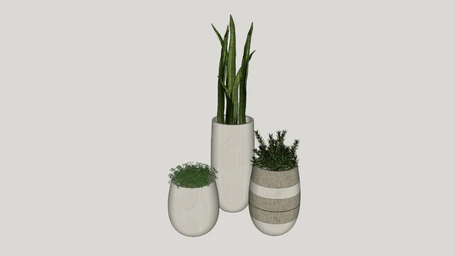 Flowers vase