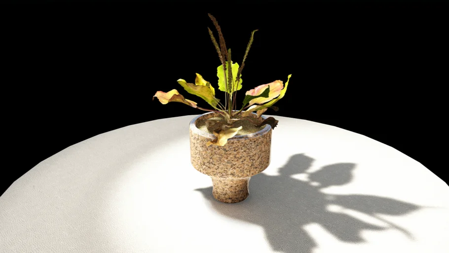 PLANTER POT